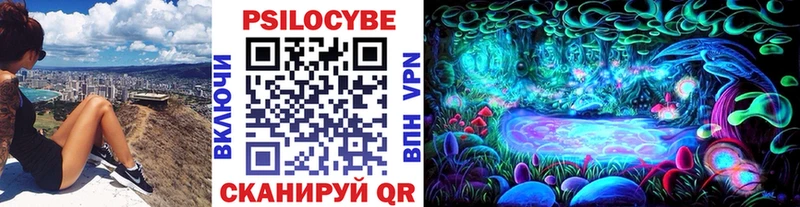 Псилоцибиновые грибы ЛСД  магазин  наркотиков  Старица 